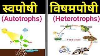 स्वपोषी और विषमपोषी में अंतर  swaposhi aur vishamposhi mein antar  autotrophs and heterotrophs [upl. by Hare]