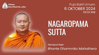 Bhante Dhammiko Mahathera  Nagaropama Sutta  Puja Bakti Umum  6 Oktober 2024 [upl. by Einahpts654]