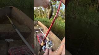 POND HOPPING IN A CANOE FARM POND FISHING LARGEMOUTH BASS FISHINGfishingshortsytshortsfypyt [upl. by Lleira]