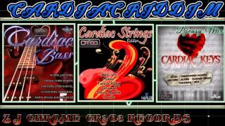 Cardiac Bass Riddim Cardiac Strings Riddim Cardiac Keys Riddim Mega Mix CR²03 RECORDS [upl. by Torbert]