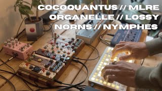 Cocoquantus  MLRe  Lossy  Organelle  Nymphes [upl. by Alohcin]