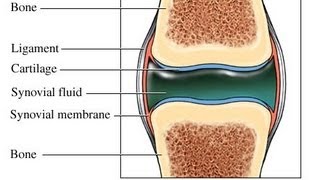 USMLE Medical Video Lectures about Synovial Fluid Analysis by UsmleTeam [upl. by Norina]