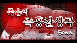 【R2Beat】 Sonz  죽음의 즉흥환상곡 Chopin Fantasy Impromptu Op66 [upl. by Adamis]