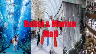 Exploring Dubais Iconic Malls Dubai Mall amp Marina Mall [upl. by Otxilac]