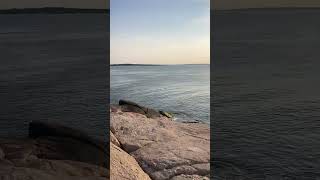 Cliff run at Narragansett beach [upl. by Krell]