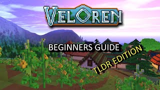 Veloren  Beginners guide TLDR EDITION [upl. by Melcher922]