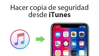 Cómo hacer copia de seguridad en iTunes [upl. by Eirameinna126]