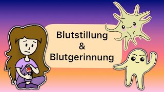 Blutstillung und Blutgerinnung [upl. by Wells]