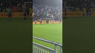 goal venezia 22 gol su punizione 🧡🖤💚 [upl. by Flanna204]