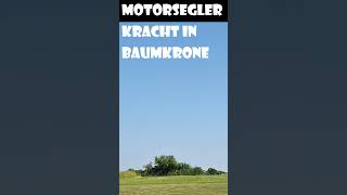 Motorsegler kracht im Baumkrone [upl. by Britton]