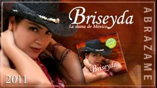 Briseyda Solis  Y Me Quede Llorando Audio Oficial [upl. by Areic]