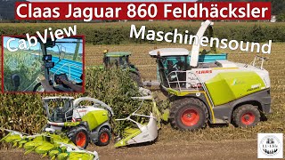 Maschinensound Claas Jaguar 860 Feldhäcksler  CabView  Mais 2024  Schwarzwald [upl. by Mayberry]