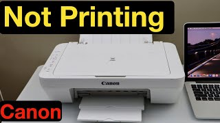 Canon Printer Not Printing [upl. by Erb]