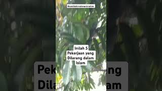 Inilah 5 Pekerjaan yang Dilarang dalam Islamlarangandalamislamislam [upl. by Acimaj]