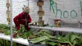 Grunty Fen Rhubarb Festival at Burwell Museum [upl. by Aimekahs31]