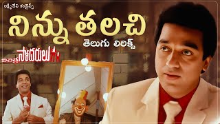 Ninnu Telichi తెలుగు లిరిక్స్  Vichitra Sodarulu  Kamal Haasan Gautami  Ilaiyaraaja [upl. by Llerrehs152]