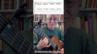 Europapa  Joost Easy guitar tutorial with free tabs [upl. by Rusell947]