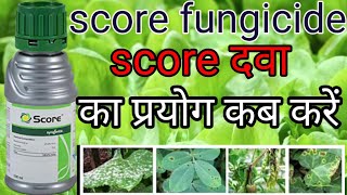 score syngenta  score fungicide  difenoconazole 25 ec  difenoconazole  score [upl. by Pirozzo]