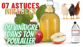 07 astuces miracles du vinaigre dans ton poulailler [upl. by Ailin]