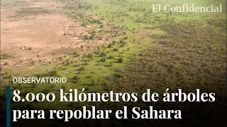 La Gran Muralla Verde del Sahel 8000 kms de árboles para frenar el cambio climático en África [upl. by Ahsiena]