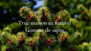 Enlever la gomme de sapin  TRUC MAISON AU NATUREL [upl. by Aicercul757]