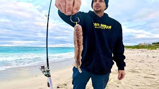 Beach Fishing with a Dingle Dangle Rig [upl. by Vergos]