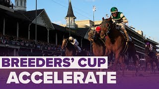 ACCELERATE wins Classic  Breeders Cup 2018 [upl. by Linell4]