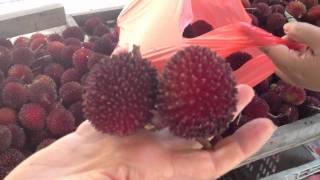 Pulasan Fruit Opening Malaysia [upl. by Anitnauq194]