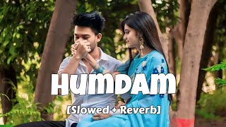 Savi  Humdum Slowed  Reverb  Tu Humdam Humdam Hai Jana Mere Dil Ka Lofi Song  Vishal Mishra [upl. by Yaffit]