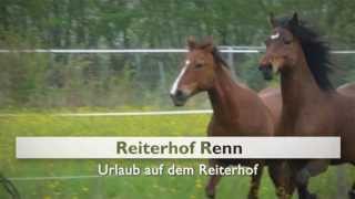 Reiten in Rheinland Pfalz Ferienwohnung Limburg an der Lahn Reiterhof Renn [upl. by Eivod]