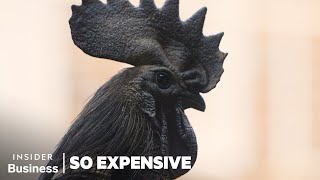 Why Ayam Cemani Chickens Are So Expensive  So Expensive  Insider Business [upl. by Yenterb31]