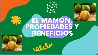 Propiedades y beneficios del mamón o mamoncillo [upl. by Secrest945]