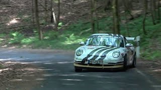 Test Waldhaus  Ruben Zeltner Porsche 996 GT3 HD [upl. by Erich]