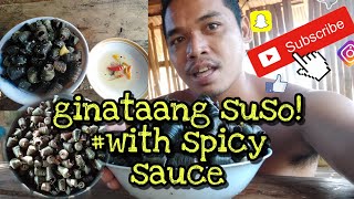 ginataang bagongonspicy sauceboss yoko adventure [upl. by Schiro675]