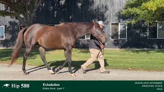 Hip 580  Exhalation  Broodmare by Street Sense IF to Forte [upl. by Haldane]