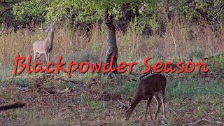 Deer Hunting Oklahoma  Blackpowder Season  Wildlife Photography [upl. by Lirva806]