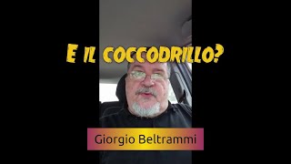 E il coccodrillo come fa [upl. by Isej]