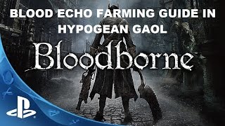 Bloodborne Blood Echo amp Twin Bloodstone Farm Guide EASY [upl. by Isadore439]