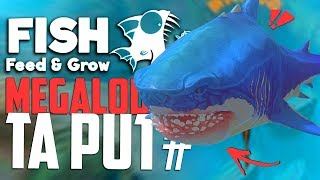 MEGALODON ENCONTRADO  Feed And Grow Fish [upl. by Nhguavaj321]