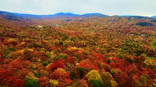 Bolton Valley Vermont foliage [upl. by Solomon]