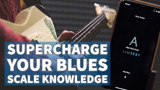 SUPERCHARGE YOUR BLUES SCALE FRETBOARD KNOWLEDGE  Using the Solo App  TOM QUAYLE [upl. by Aisha]