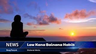 Sholawat Law kana bainanal habib  lirik±Latinalquran [upl. by Aeuhsoj]