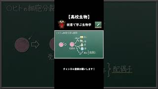 体細胞分裂と減数分裂とは？【52生物基礎】新課程対応 shorts [upl. by Bully]