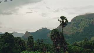 Coimbatore to palakkad route palakadcinematic malayalam nature palakkadtourism kerala shorts [upl. by Alie]