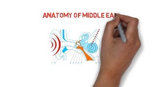 ANATOMY OF MIDDLE EAR [upl. by Doti]