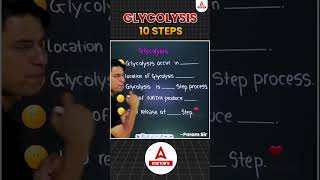 Glycolysis Explained  The Energy Powerhouse of Cells shorts glycolysis cellenergy glucose ATP [upl. by Publus923]