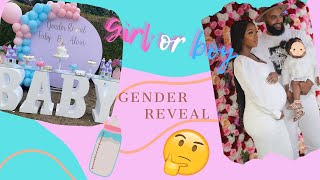 VLOG 2  GENDER REVEAL  GIRL OR BOY🤯 💖💙 [upl. by Hurlee]