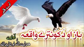 Baz Ao Kontara New Pashto Naat  Raghla Kontara Da Asmana Nabi دہ باز او د کو نترے واقعہ خئستہ نظم [upl. by Lionello]