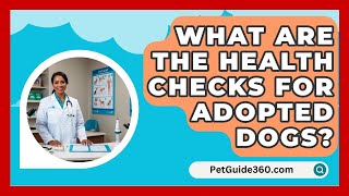 What Are the Health Checks for Adopted Dogs  PetGuide360com [upl. by Marquardt]