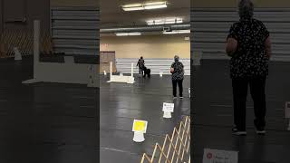 Black Russian Terrier Kicka in rally obedience competition [upl. by Slade]